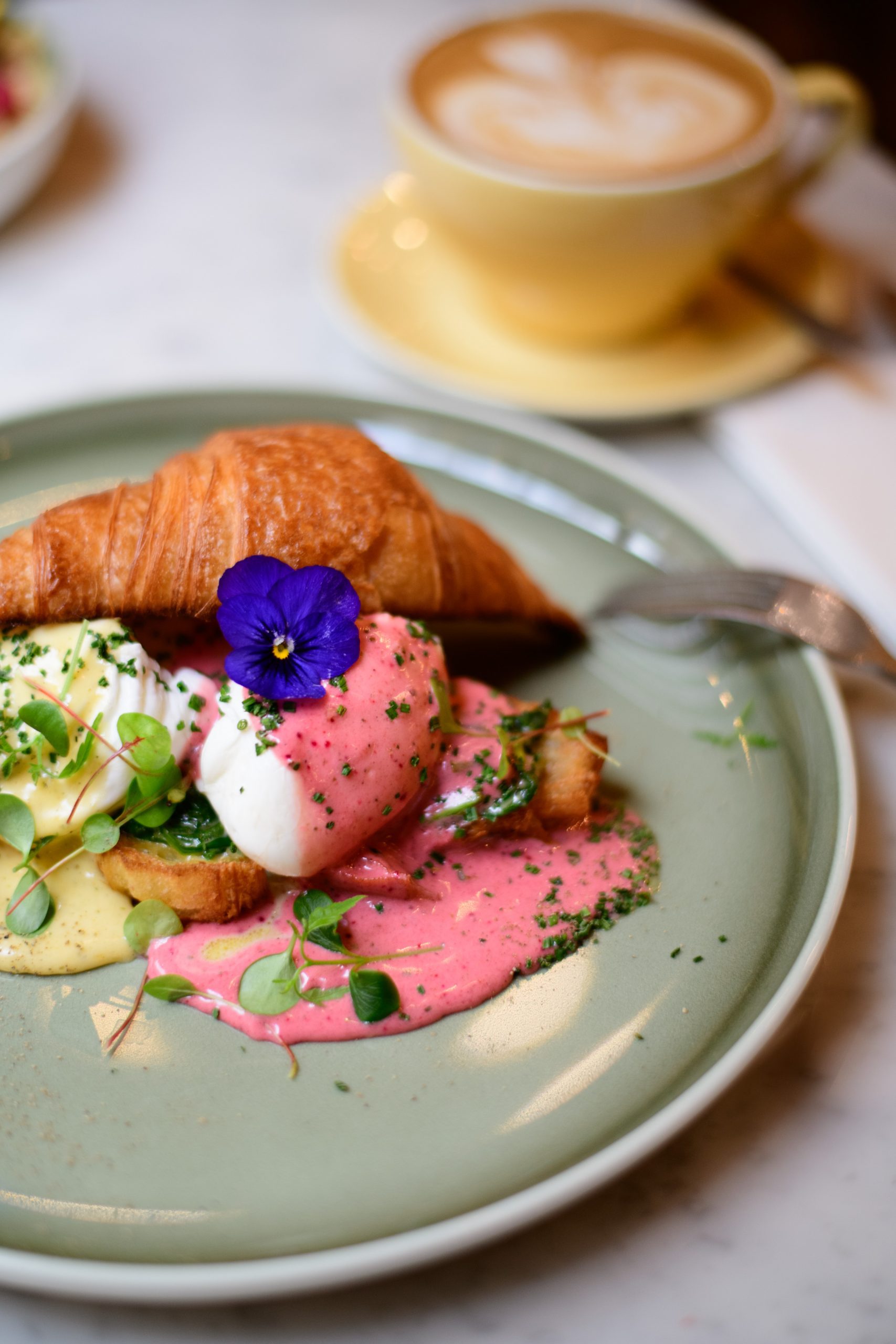 Restaurant Digital Marketing Agency Focus: Newsletters