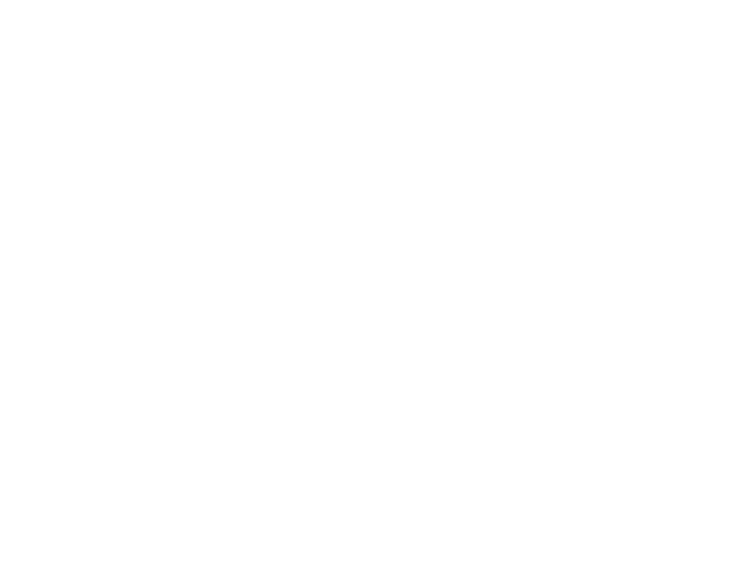 Piccolino logo